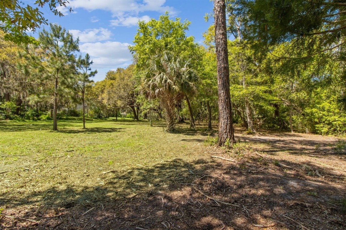 Amelia Road Fernandina Beach, FL 32034 - Photo 8 of 14 Gallery Image 8