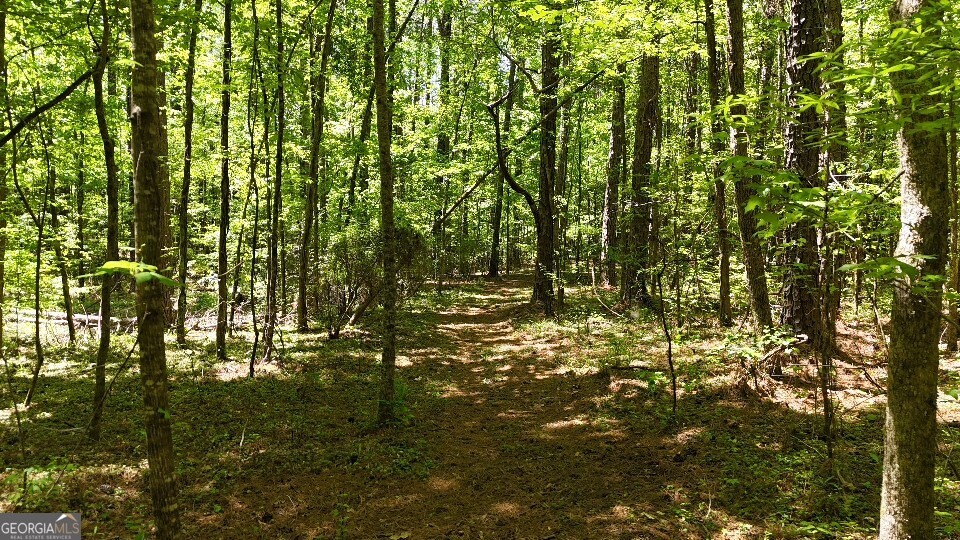 955 Cheatham Road Griffin, GA 30223 - Photo 11 of 18