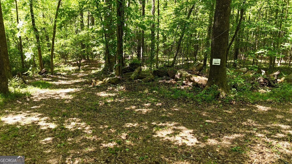 955 Cheatham Road Griffin, GA 30223 - Photo 12 of 18