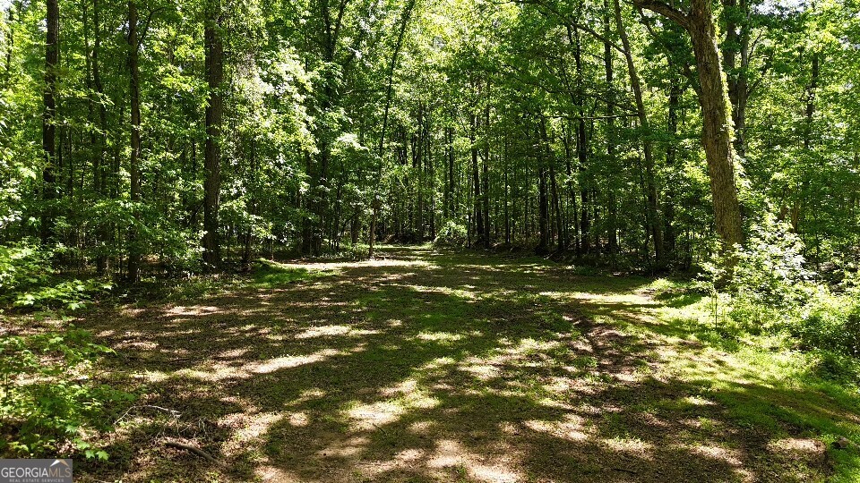 955 Cheatham Road Griffin, GA 30223 - Photo 13 of 18