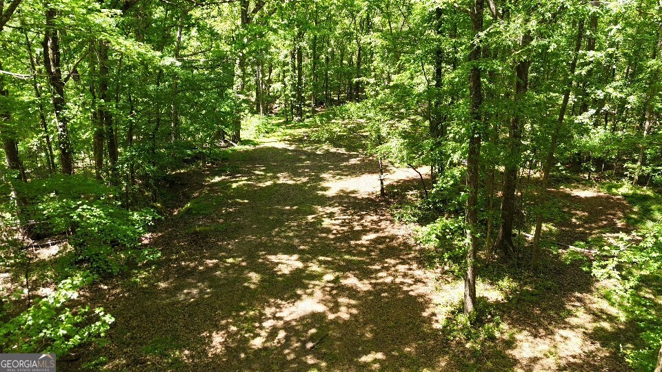 955 Cheatham Road Griffin, GA 30223 - Photo 16 of 18