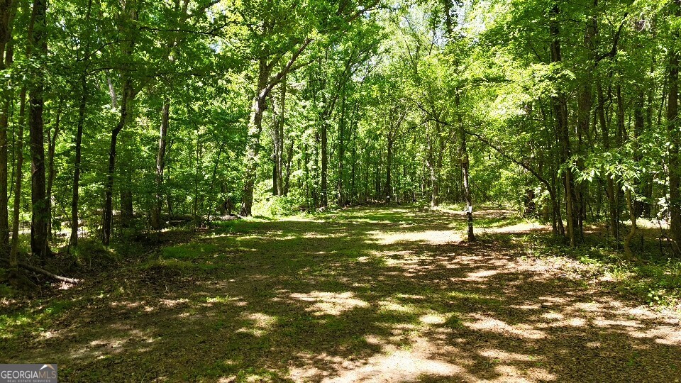 955 Cheatham Road Griffin, GA 30223 - Photo 17 of 18