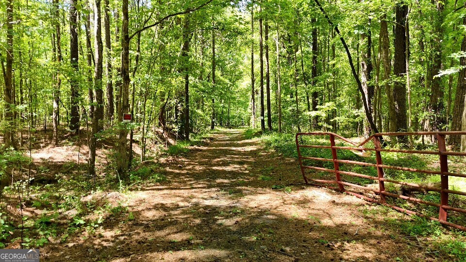 955 Cheatham Road Griffin, GA 30223 - Photo 18 of 18