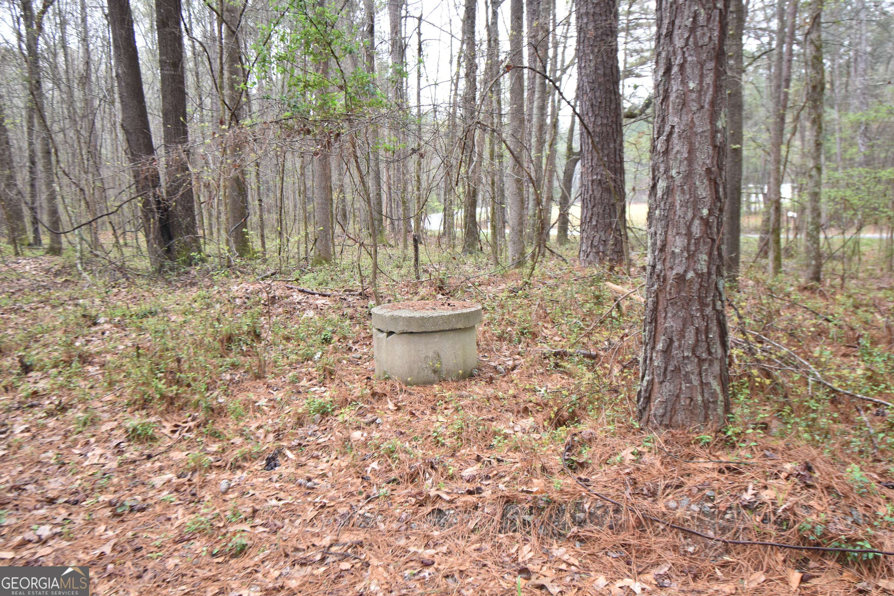 955 Cheatham Road Griffin, GA 30223 - Photo 4 of 7