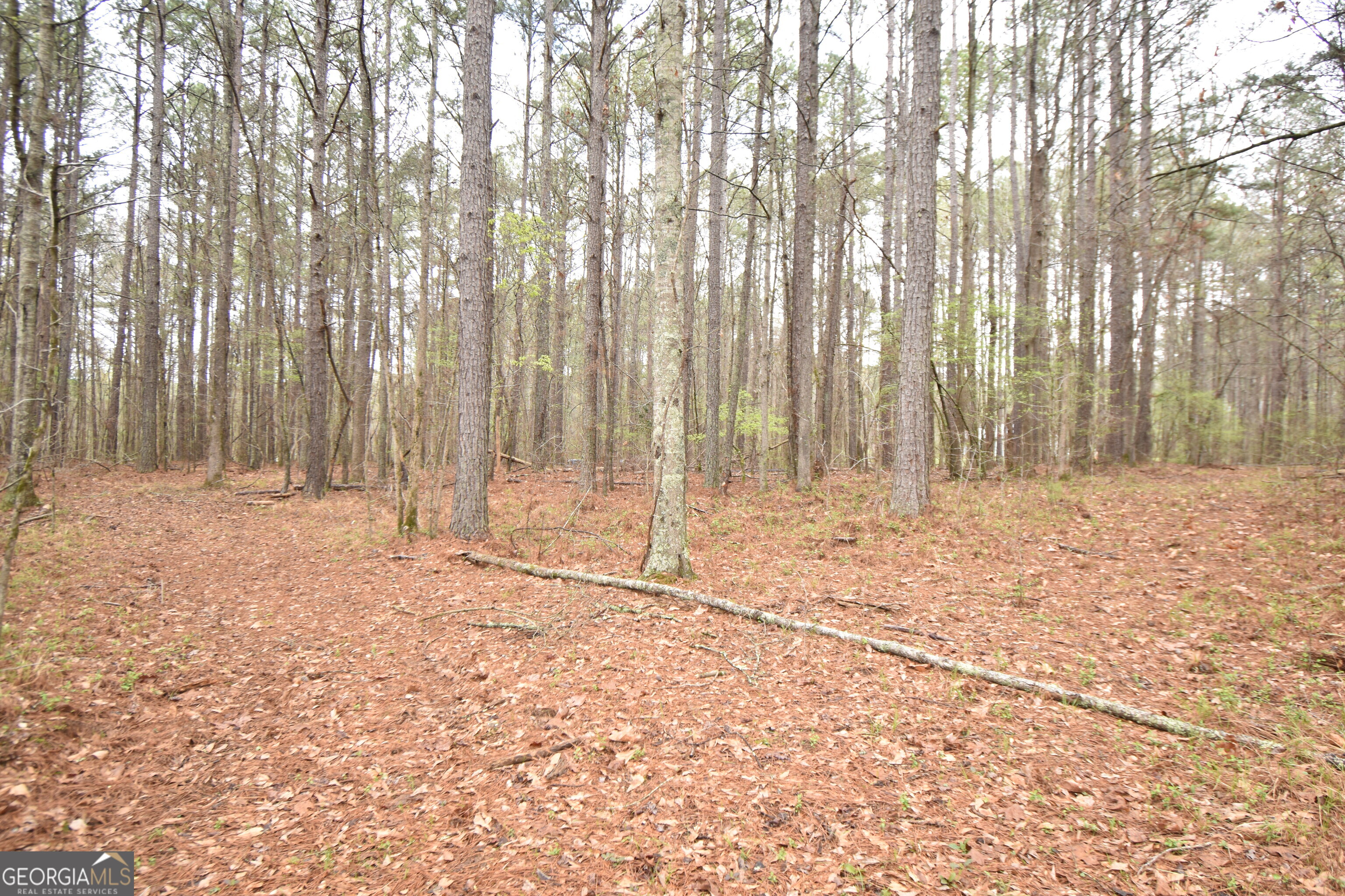 955 Cheatham Road Griffin, GA 30223 - Photo 5 of 7 a view of wooden fence with trees in the background
