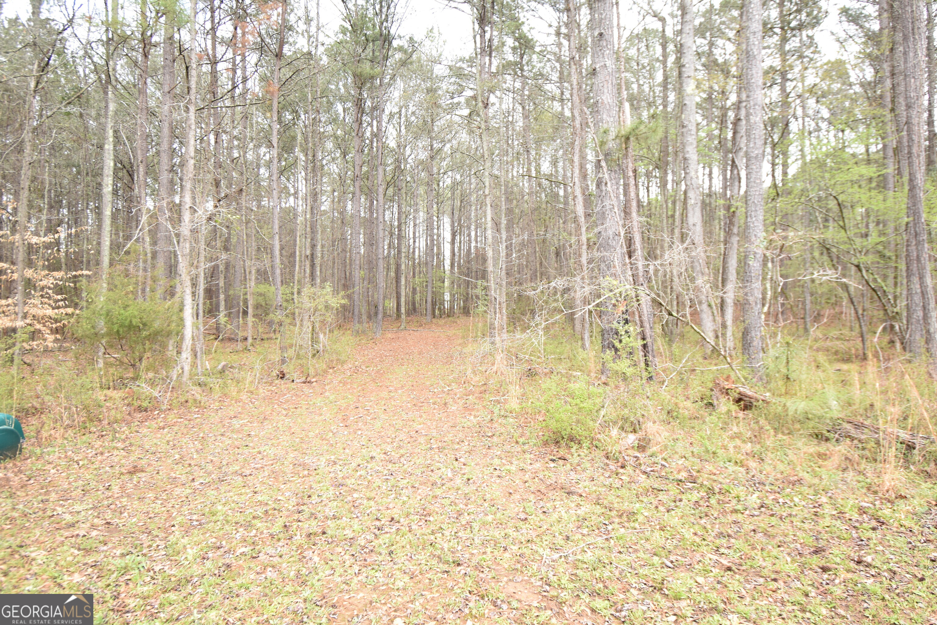 955 Cheatham Road Griffin, GA 30223 - Photo 6 of 7 a view of yard with trees