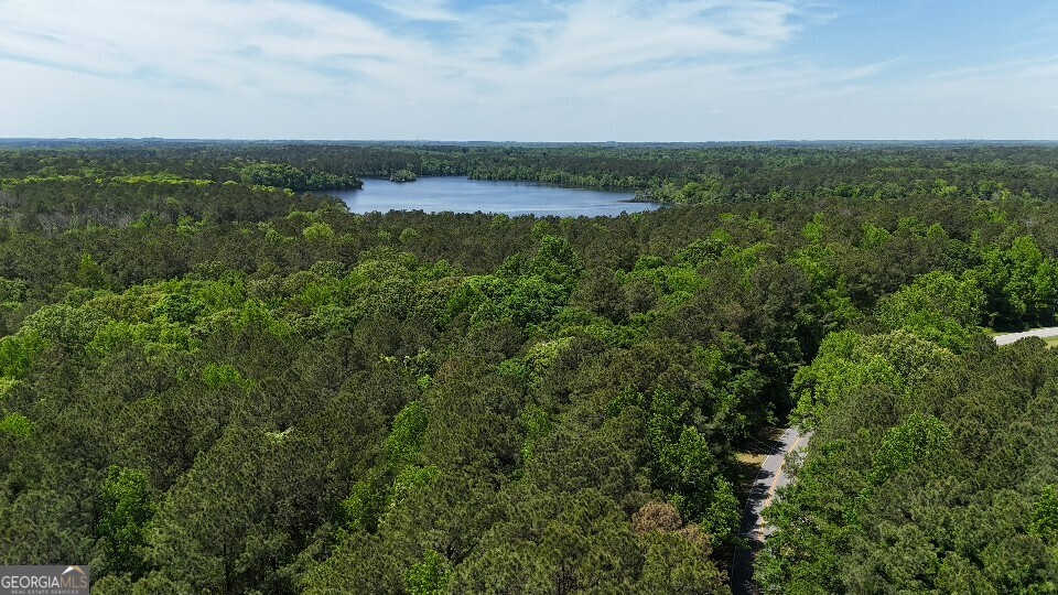 955 Cheatham Road Griffin, GA 30223 - Photo 8 of 18