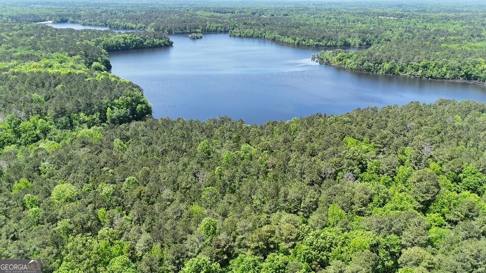 955 Cheatham Road Griffin, GA 30223 - Photo 10 of 18