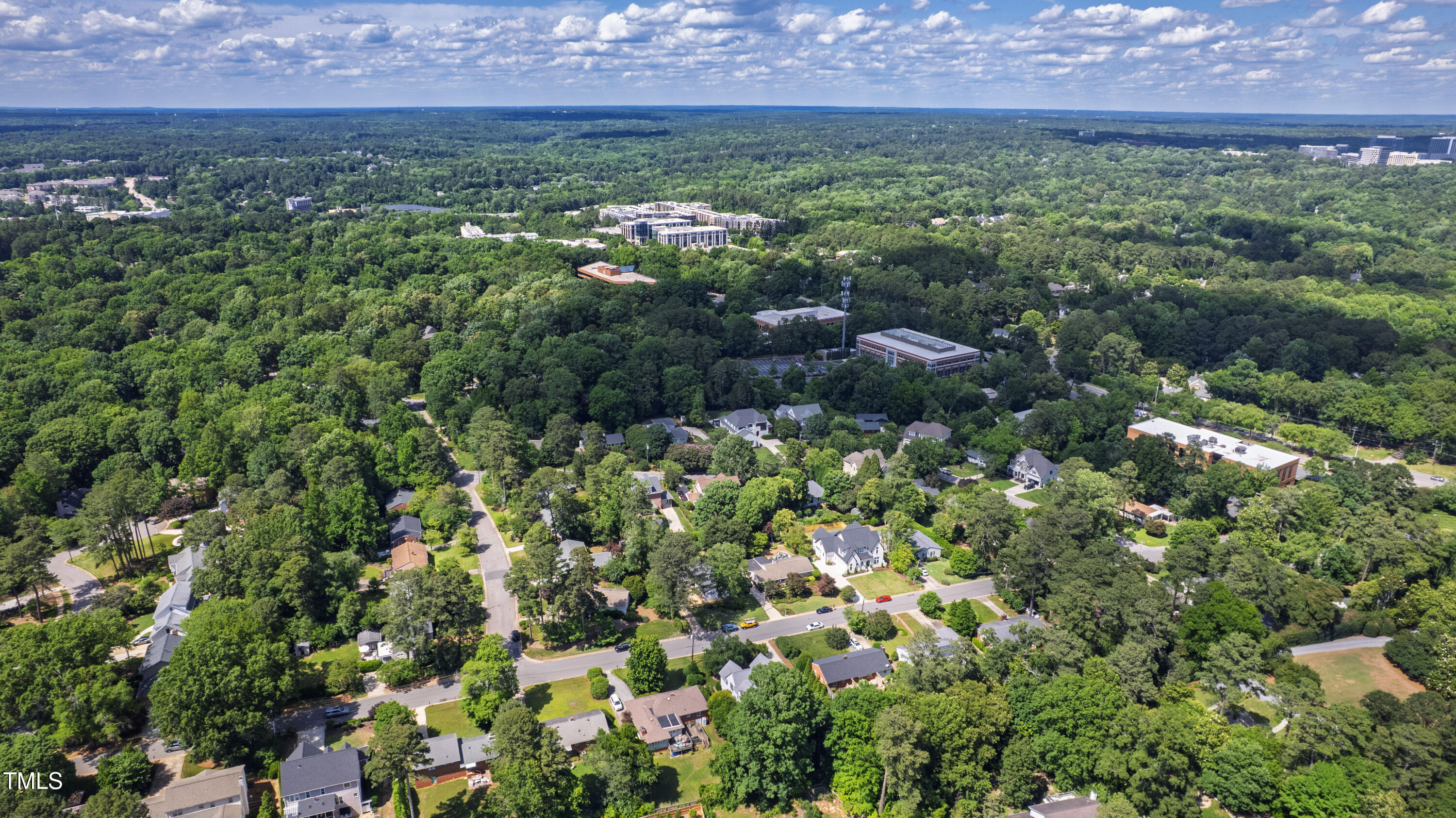 523 Vick Avenue Raleigh, NC 27612 - Photo 71 of 77 a view of a big yard with plants and large trees