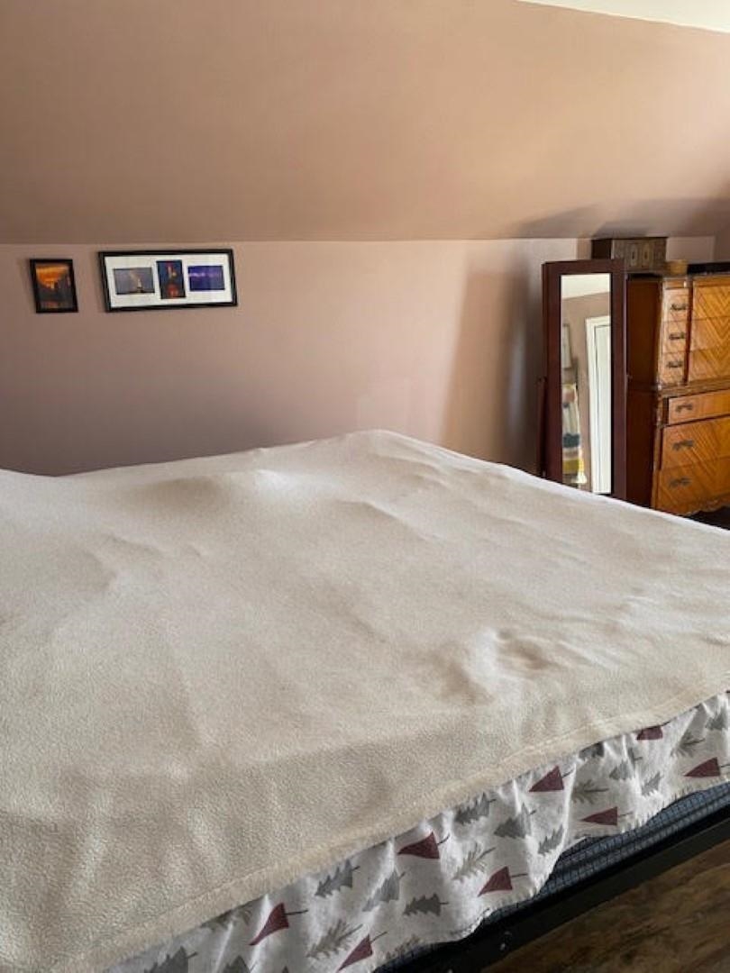 101 Stephenson Street German Valley, IL 61039 - Photo 6 of 12