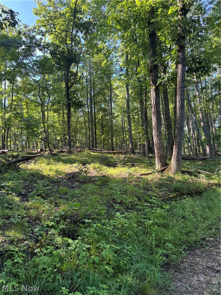 Stone Quarry Road Danville, OH 43014 - Photo 14 of 50