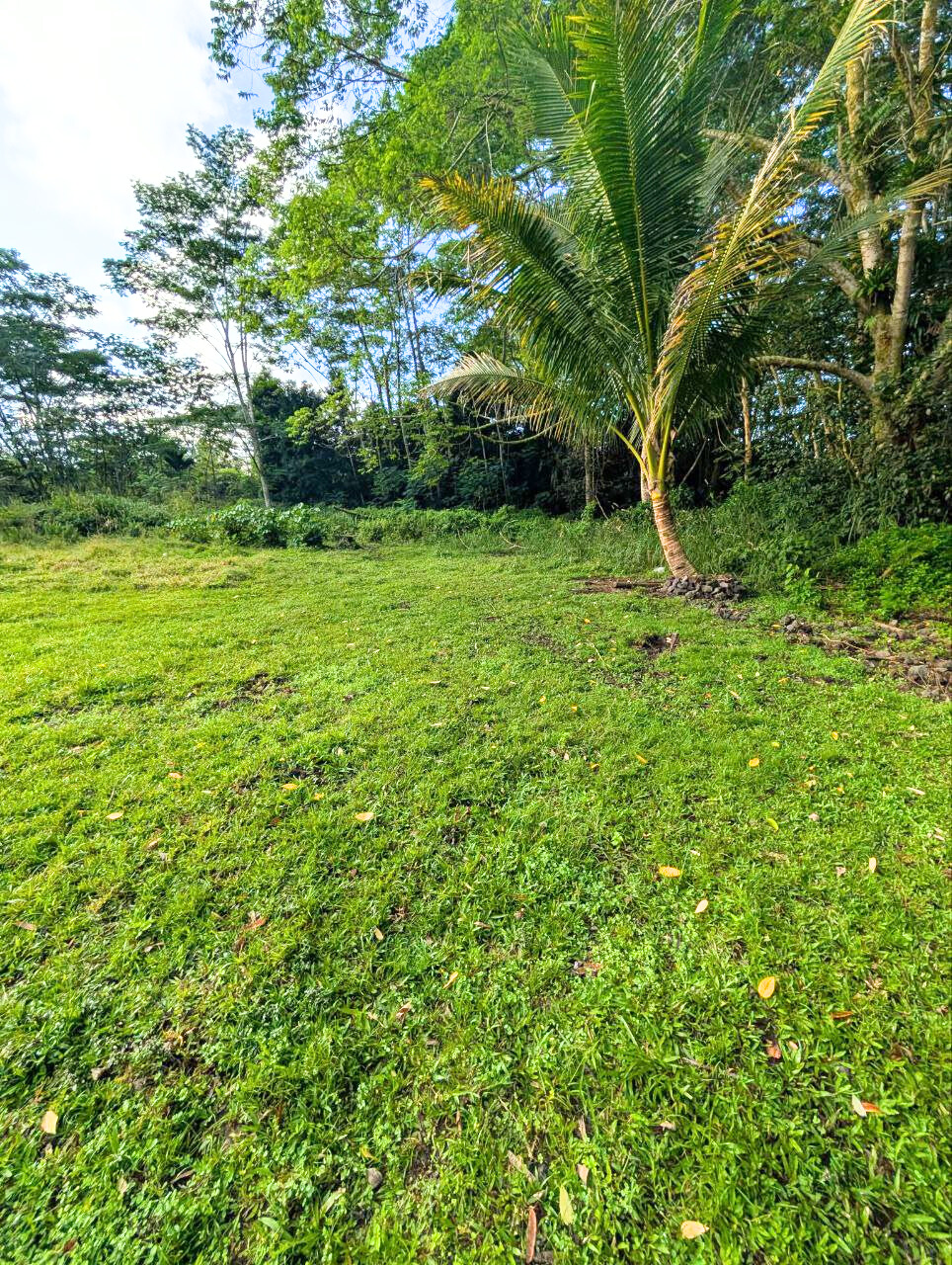 14-3276 Pualaa Road Pahoa, HI 96778 - Photo 15 of 15 Gallery Image 15