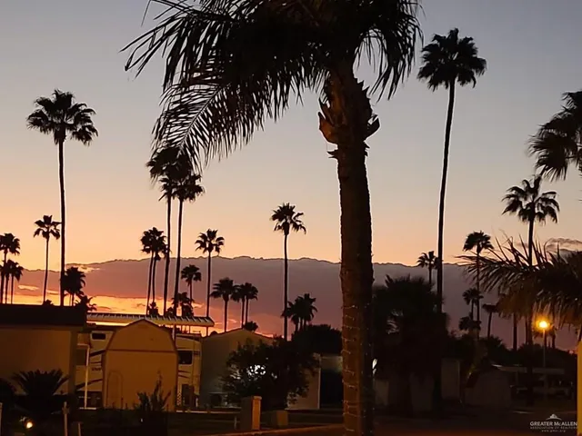 an ocean view with palm trees