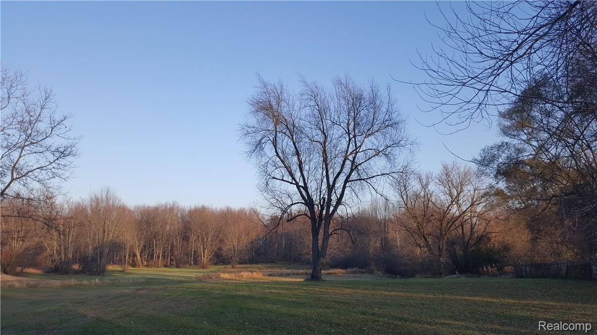 20151111_162541.jpg