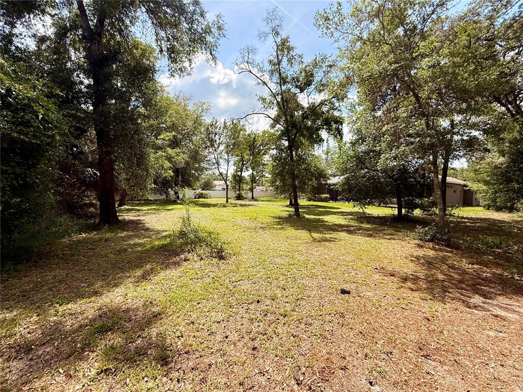 13110 Bamboo Street Spring Hill, FL 34609 - Photo 47 of 56 a view of a yard with swimming pool