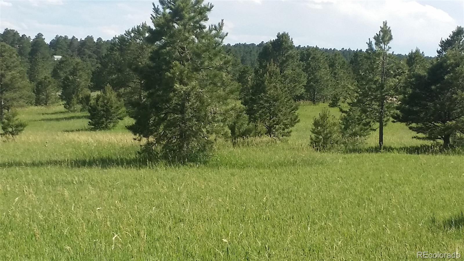 15815 Softwood Road Elbert, CO 80106 - Photo 1 of 17 a view of a green field