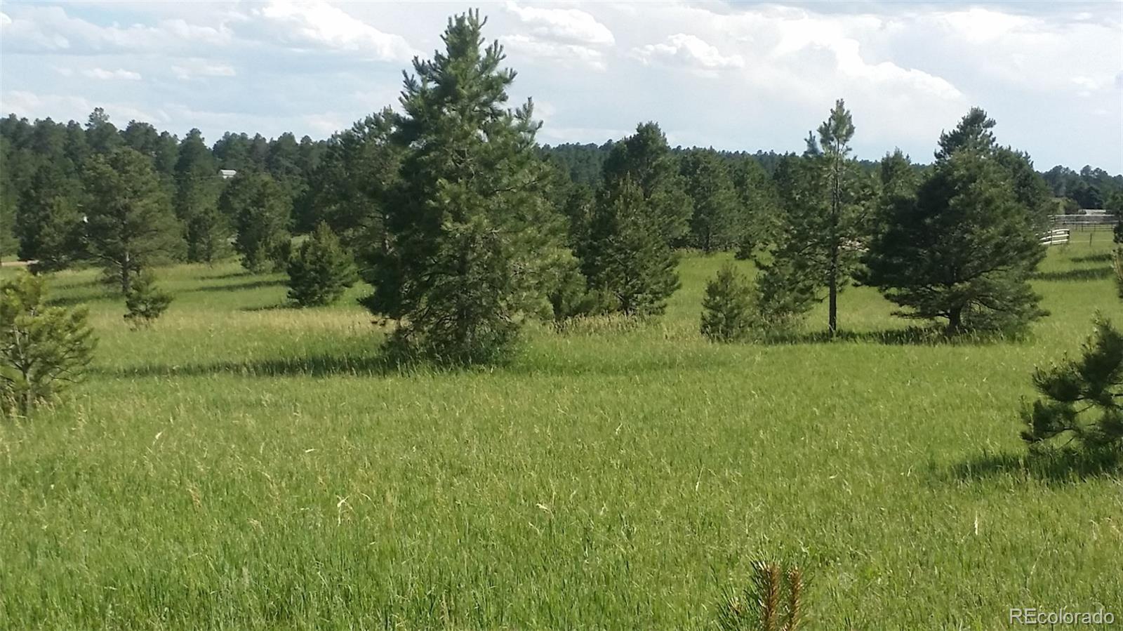 15815 Softwood Road Elbert, CO 80106 - Photo 11 of 17
