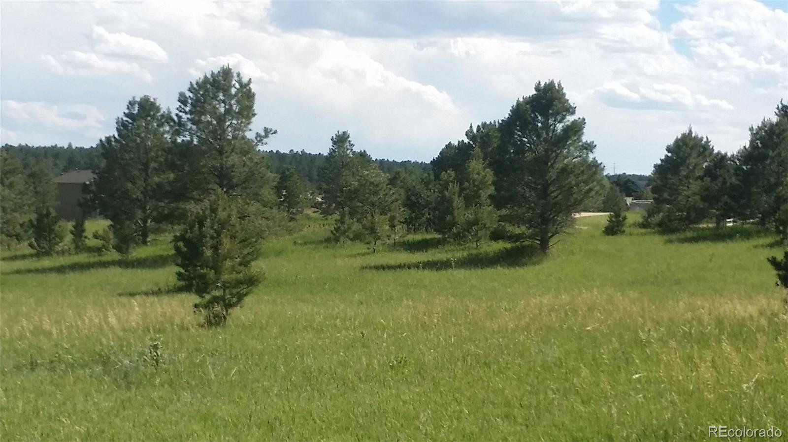 15815 Softwood Road Elbert, CO 80106 - Photo 12 of 17 a view of outdoor space and yard