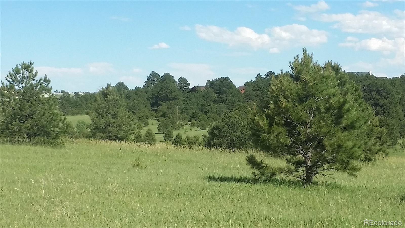 15815 Softwood Road Elbert, CO 80106 - Photo 13 of 17 a view of a field of grass and trees
