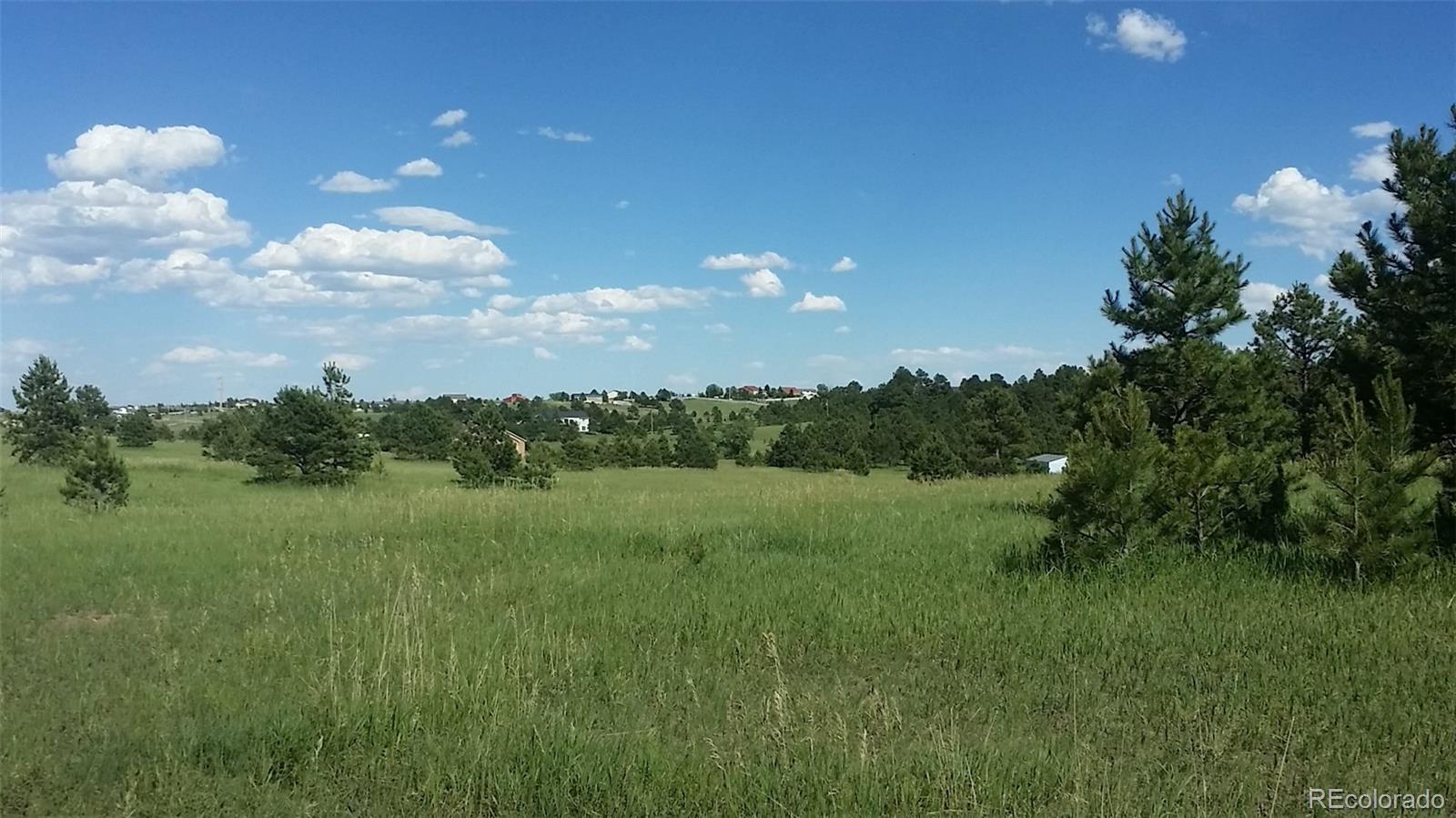 15815 Softwood Road Elbert, CO 80106 - Photo 15 of 17 a view of an outdoor space and yard