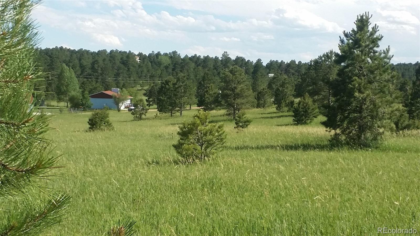 15815 Softwood Road Elbert, CO 80106 - Photo 16 of 17 a view of a golf course with a yard