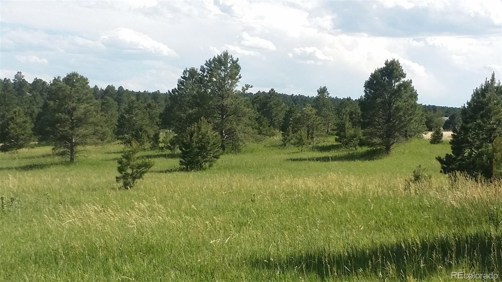 15815 Softwood Road Elbert, CO 80106 - Photo 7 of 17