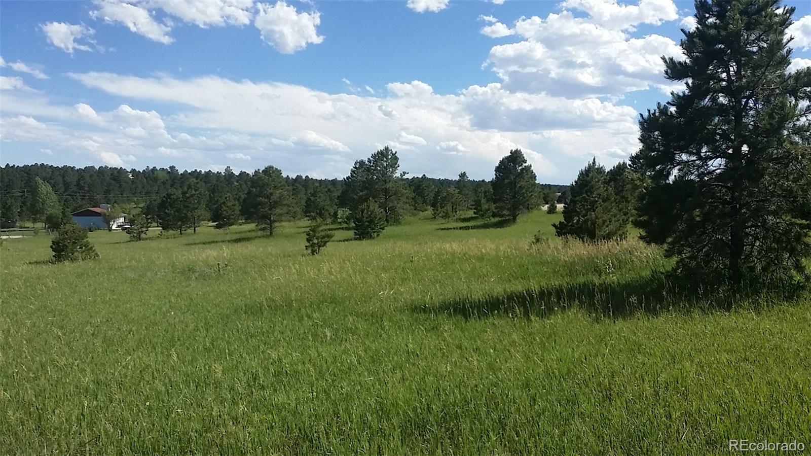 15815 Softwood Road Elbert, CO 80106 - Photo 8 of 17 a view of outdoor space and yard