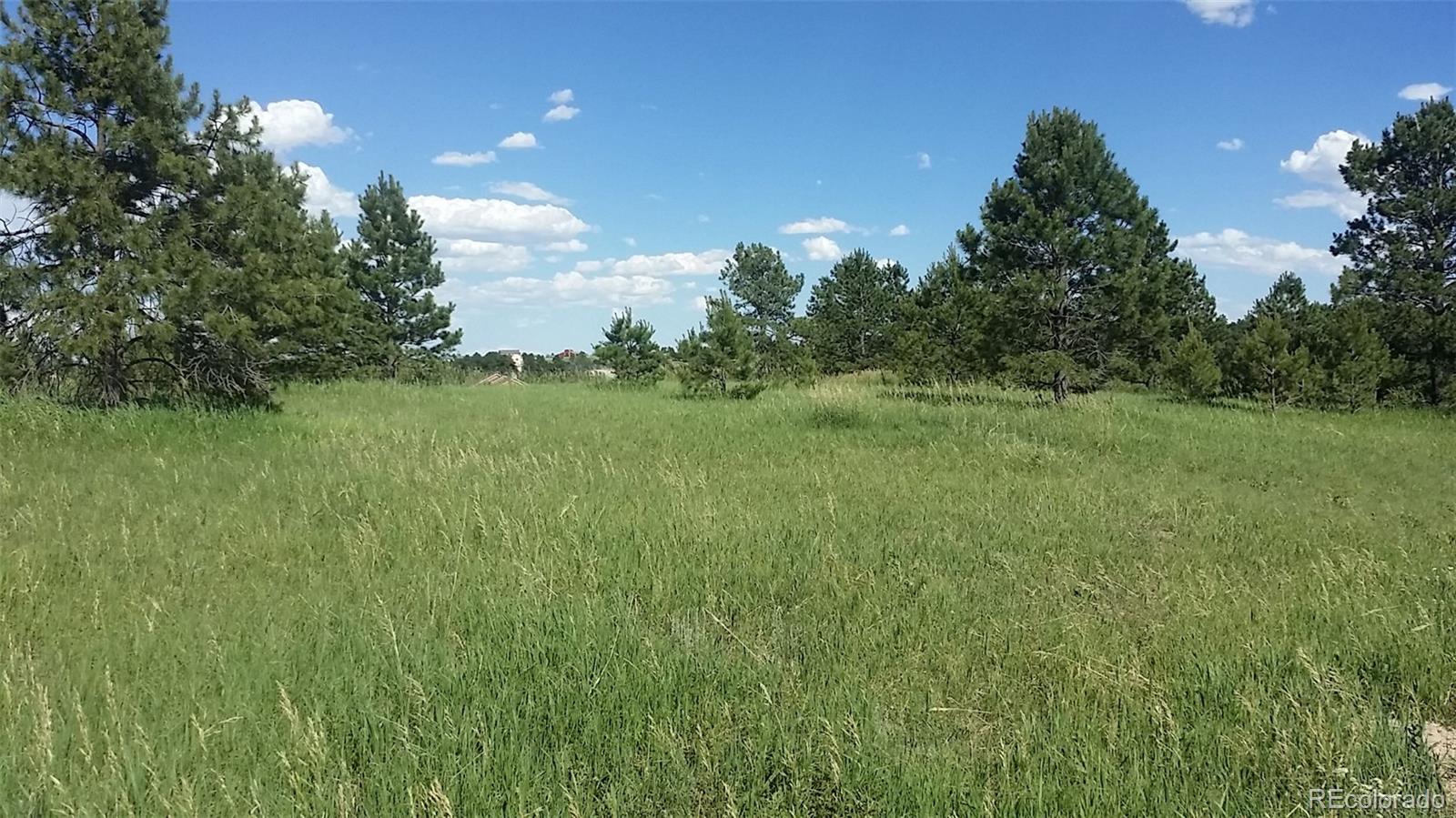 15815 Softwood Road Elbert, CO 80106 - Photo 9 of 17 a view of a lush green space
