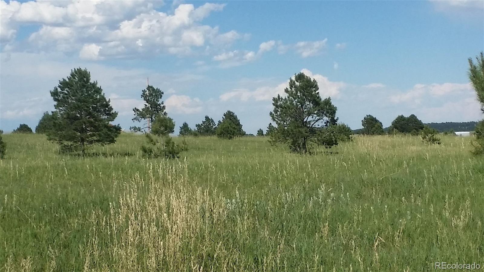 15815 Softwood Road Elbert, CO 80106 - Photo 10 of 17 a view of a garden with a lake