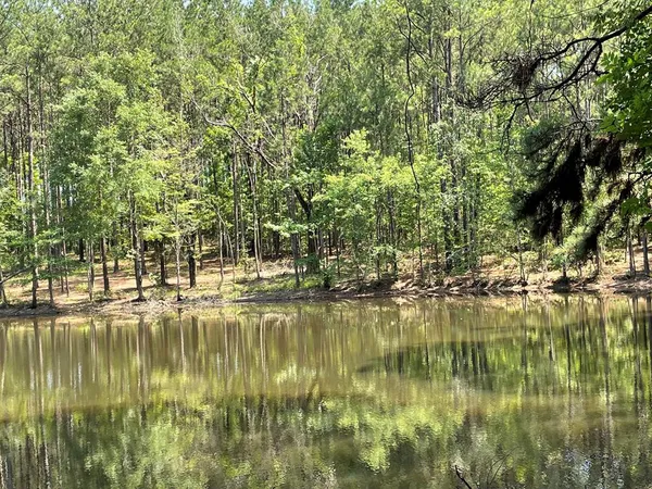 $75,000 | Na Reservoir Road, Waynesboro, MS 39367