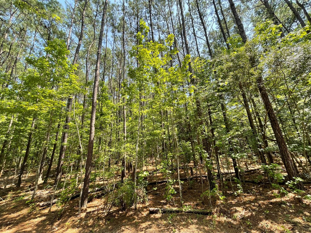 Na Reservoir Road Waynesboro, MS 39367 - Photo 11 of 26 Photo 11