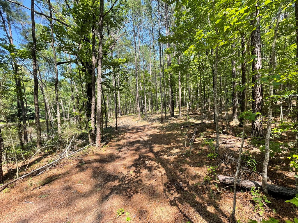 Na Reservoir Road Waynesboro, MS 39367 - Photo 12 of 26 Photo 12
