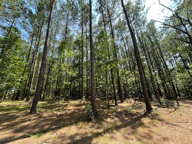 $75,000 | Na Reservoir Road, Waynesboro, MS 39367