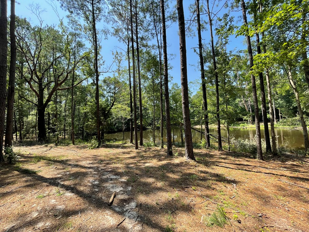 Na Reservoir Road Waynesboro, MS 39367 - Photo 14 of 26 Photo 14