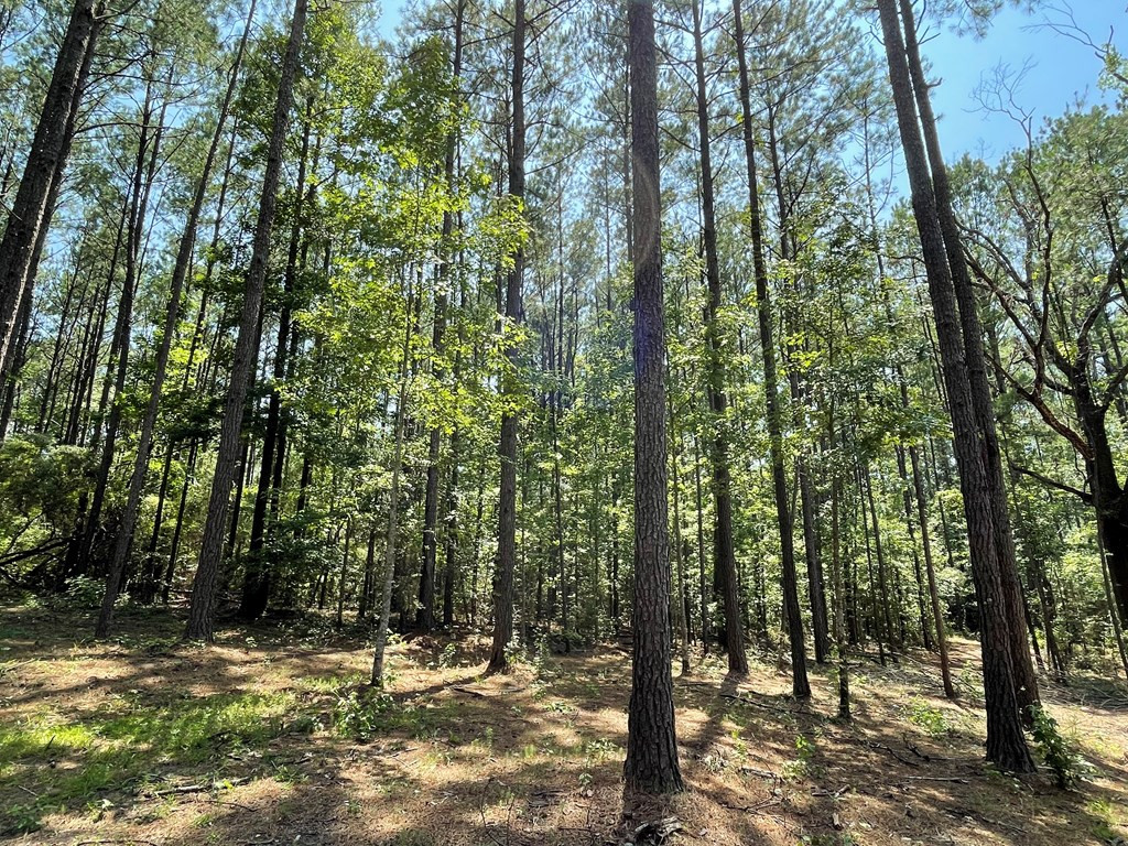 Na Reservoir Road Waynesboro, MS 39367 - Photo 15 of 26 Photo 15
