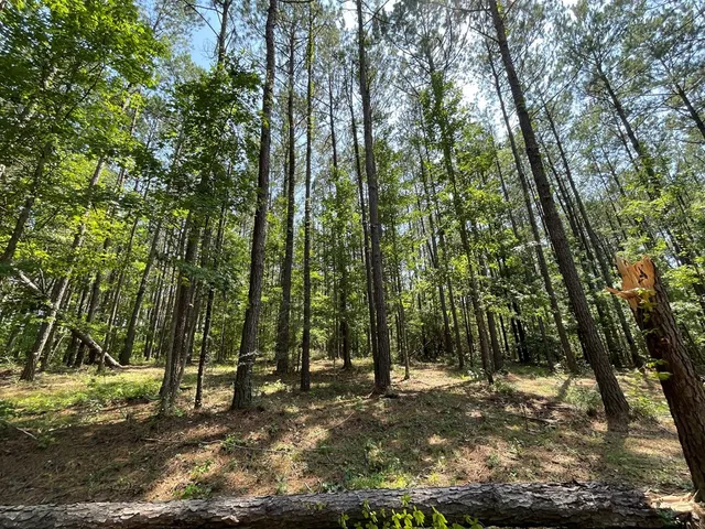 $75,000 | Na Reservoir Road, Waynesboro, MS 39367