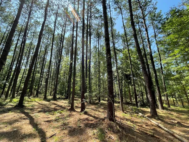 $75,000 | Na Reservoir Road, Waynesboro, MS 39367