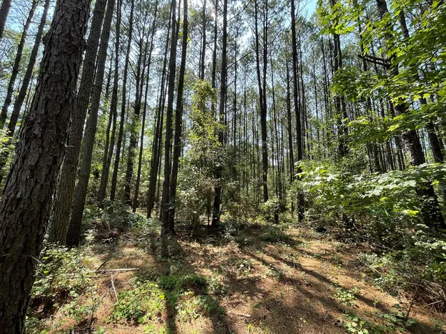 $75,000 | Na Reservoir Road, Waynesboro, MS 39367