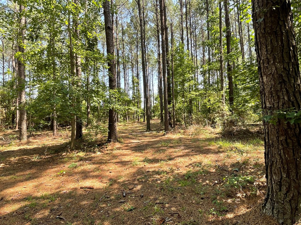 Na Reservoir Road Waynesboro, MS 39367 - Photo 21 of 26 Photo 21