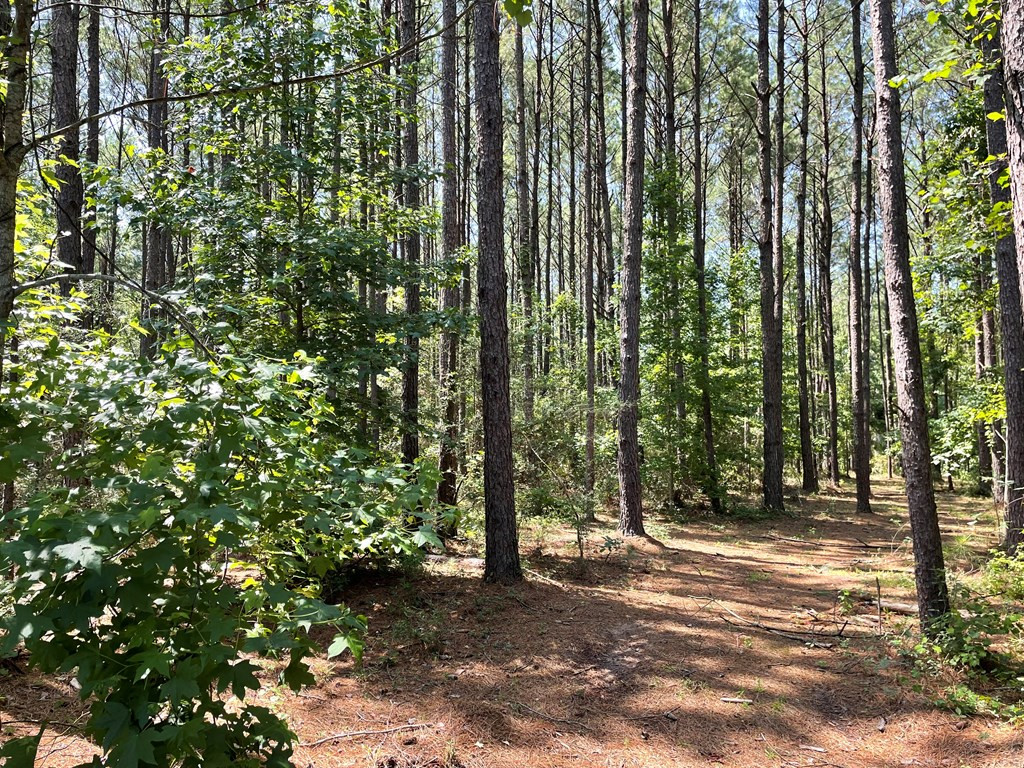 Na Reservoir Road Waynesboro, MS 39367 - Photo 22 of 26 Photo 22