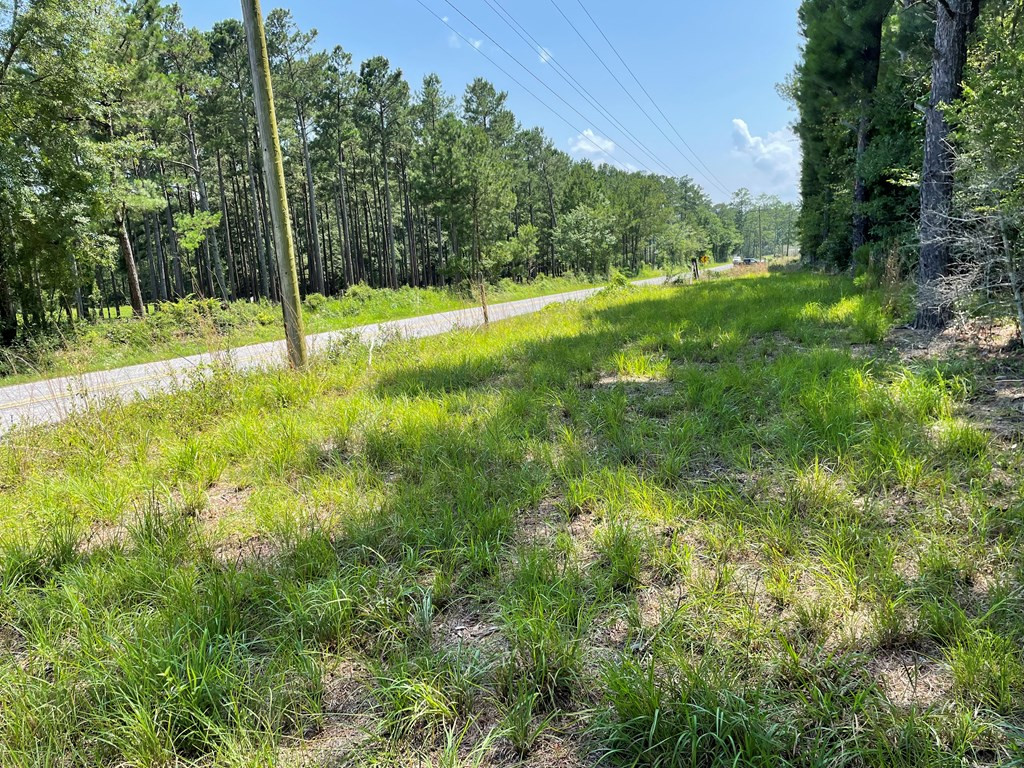 Na Reservoir Road Waynesboro, MS 39367 - Photo 23 of 26 Photo 23
