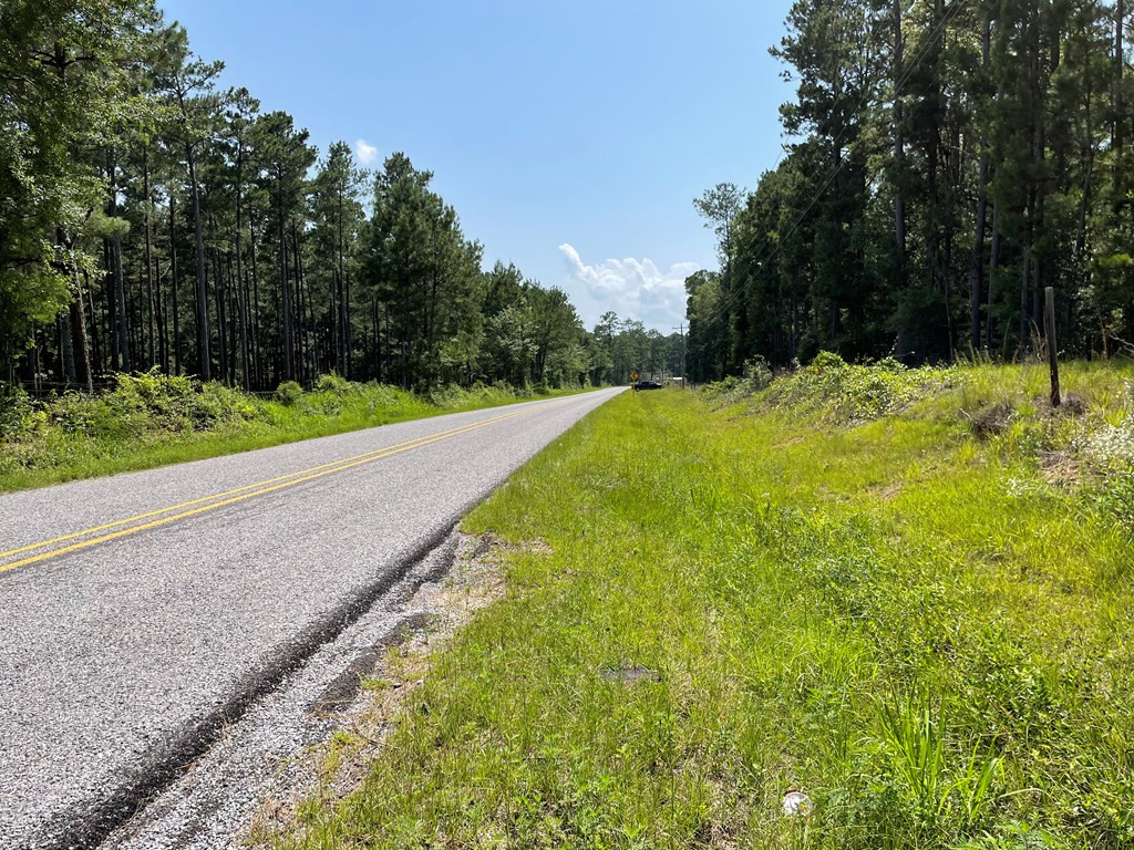 Na Reservoir Road Waynesboro, MS 39367 - Photo 24 of 26 Photo 24