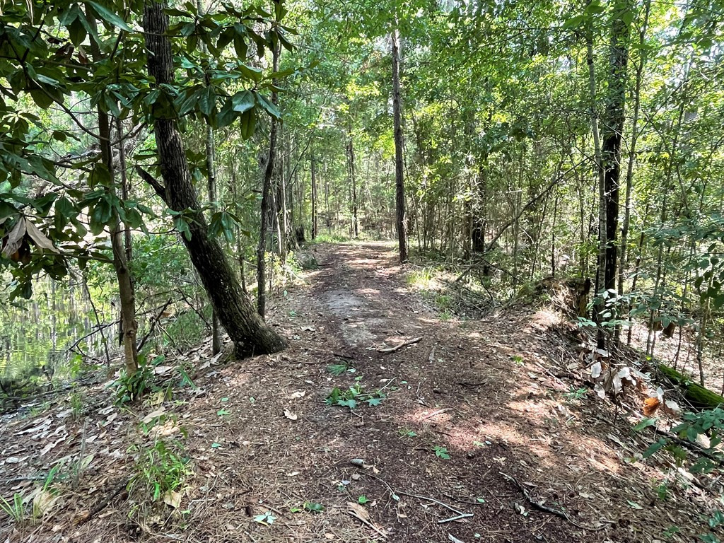 Na Reservoir Road Waynesboro, MS 39367 - Photo 4 of 26 Photo 4