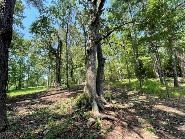 $75,000 | Na Reservoir Road, Waynesboro, MS 39367