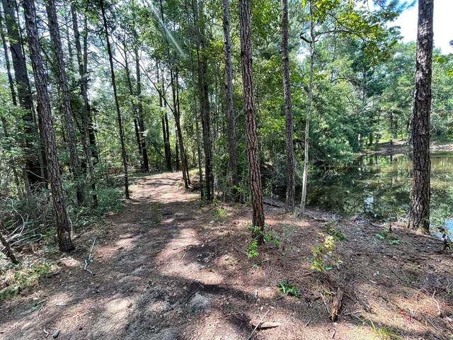 $75,000 | Na Reservoir Road, Waynesboro, MS 39367