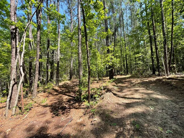 $75,000 | Na Reservoir Road, Waynesboro, MS 39367