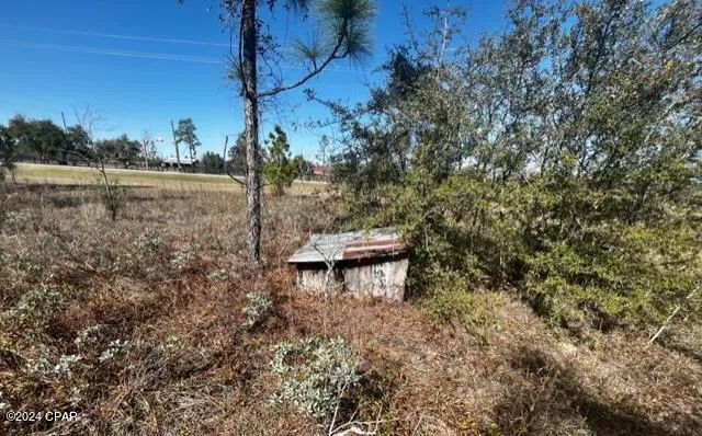 $50,900 | 0 Northwest County Road 274, Altha, FL 32421