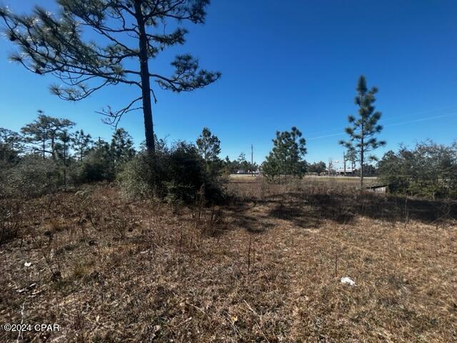 0 Northwest County Road 274 Altha, FL 32421 - Photo 14 of 18