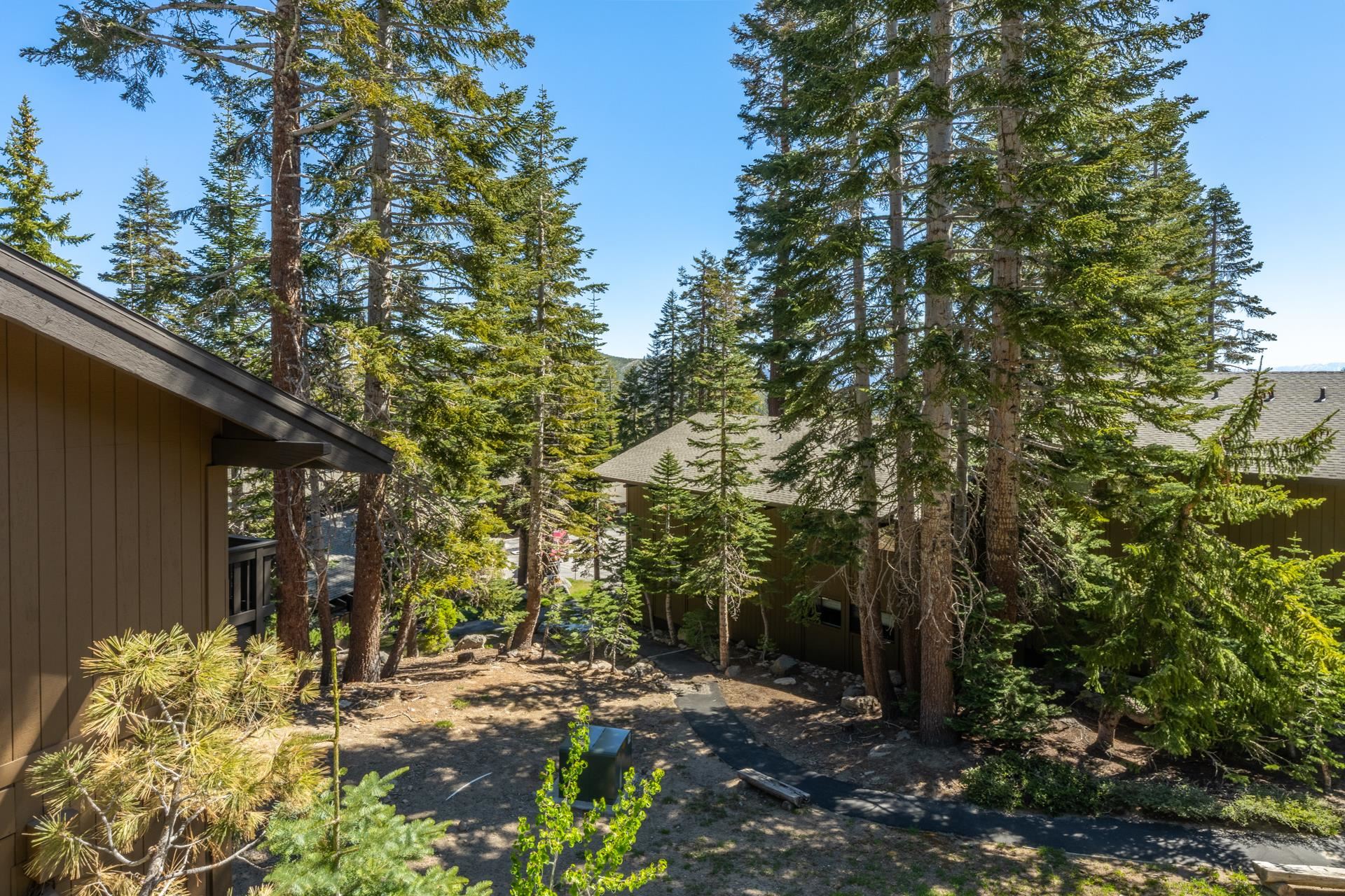 94 John Muir Road, Unit 132 Mammoth Lakes, CA 93546 - Photo 39 of 58 a view of backyard with green space