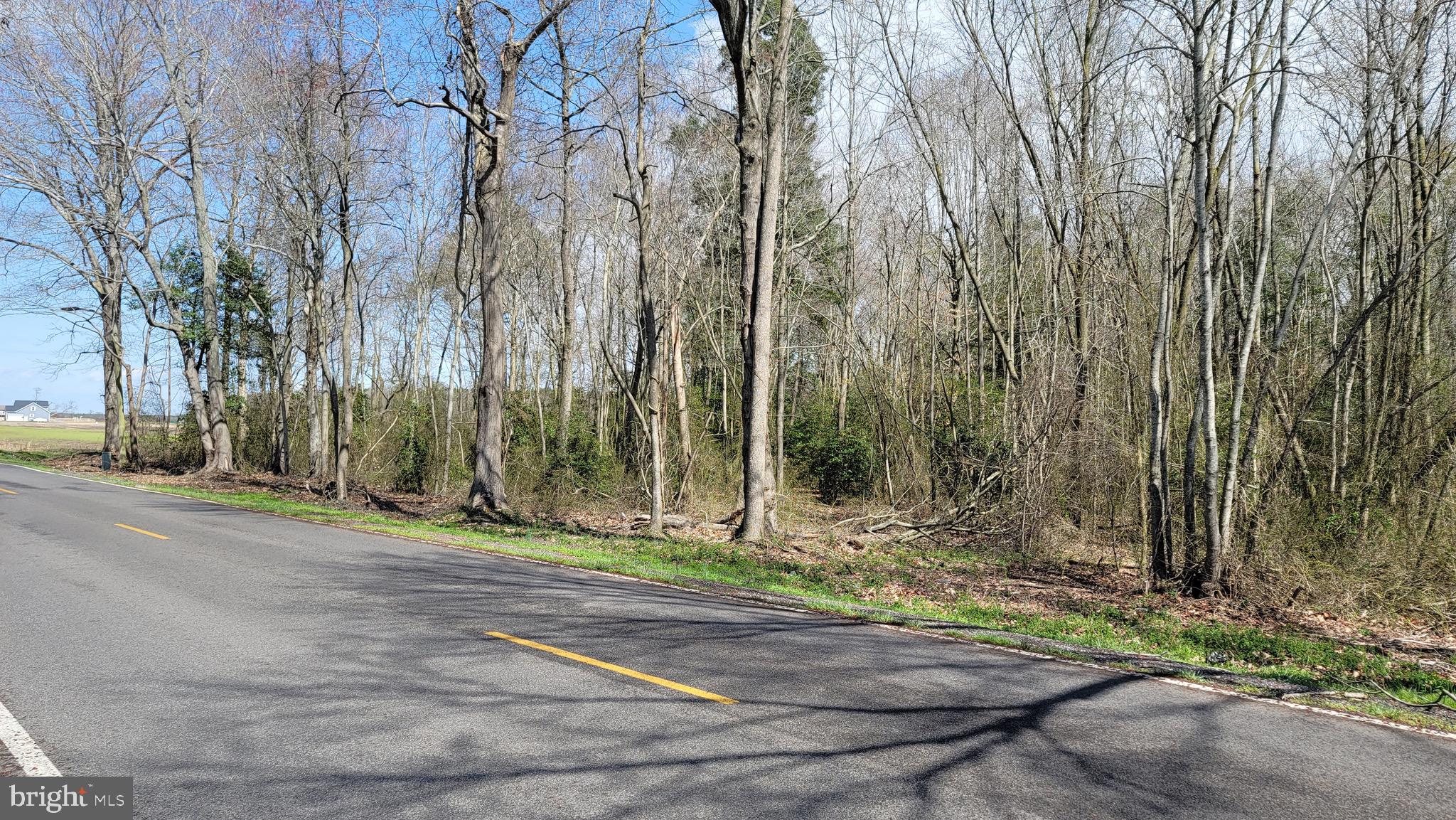 0 Bethel Road Willards, MD 21874 - Photo 6 of 11 Southwest corner from Bethel Rd